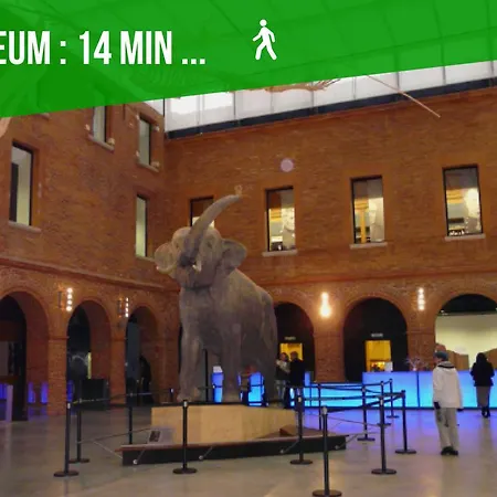 L'authentique - Coeur De Lägenhet Toulouse