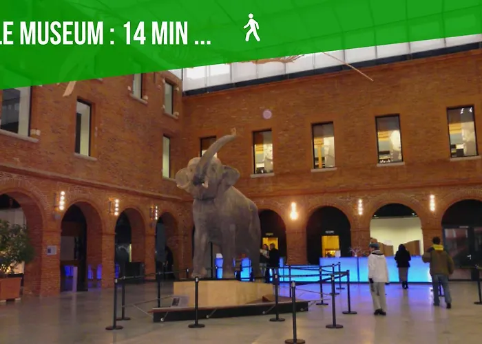 L'authentique - Coeur De Apartman Toulouse